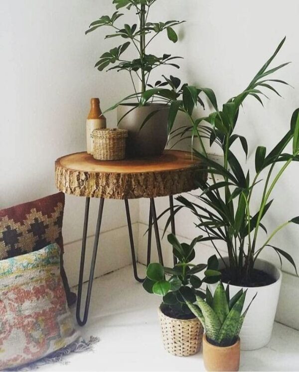 FABWUD Sheesham Wood Small End Table/Side Table/Plant Stand/Round Stool with Hairpin Legs for Home Decor (Wood Natural)