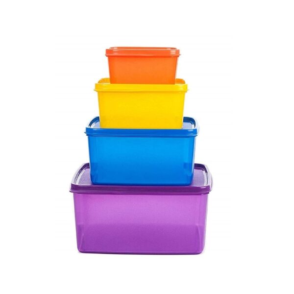 SIGNORA WARE Family Fresh Tab BPA Free Plastic Containers Set,Microwave & Freezer Safe,Airtight & Leakproof,Best For Kitchen & Outdoor Use(Multicolour,Setof4,2.5Ltr +1.2Ltr +500Ml +160Ml),Multicolor SIGNORA WARE Family Fresh Tab BPA Free Plastic Containers Set,Microwave & Freezer Safe,Airtight & Leakproof,Best For Kitchen & Outdoor Use(Multicolour,Setof4,2.5Ltr +1.2Ltr +500Ml +160Ml),Multicolor