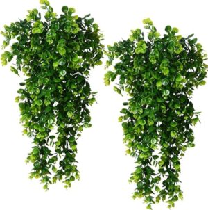 Dekorly 2 PCS Artificial Eucalyptus Leaf Rattan Fake Hanging Plant Faux Greenary Vine Outdoor UV Resistant Plastic Plants for Wedding Party Home Decor Dekorly 2 PCS Artificial Eucalyptus Leaf Rattan Fake Hanging Plant Faux Greenary Vine Outdoor UV Resistant Plastic Plants for Wedding Party Home Decor