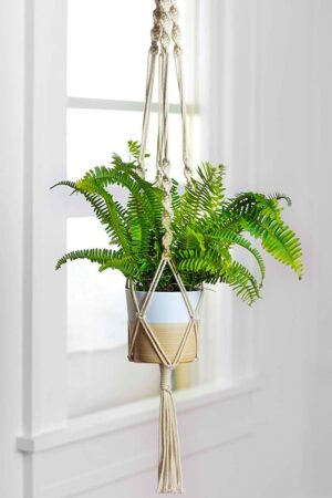 ecofynd Macrame Plant Hanger, Cotton Rope Flower Pot Holder for Indoor Outdoor Balcony Garden Wall, Boho Home Decor Basket Hanger, Ivory, 39 inches, Pack of 1 ecofynd Macrame Plant Hanger, Cotton Rope Flower Pot Holder for Indoor Outdoor Balcony Garden Wall, Boho Home Decor Basket Hanger, Ivory, 39 inches, Pack of 1