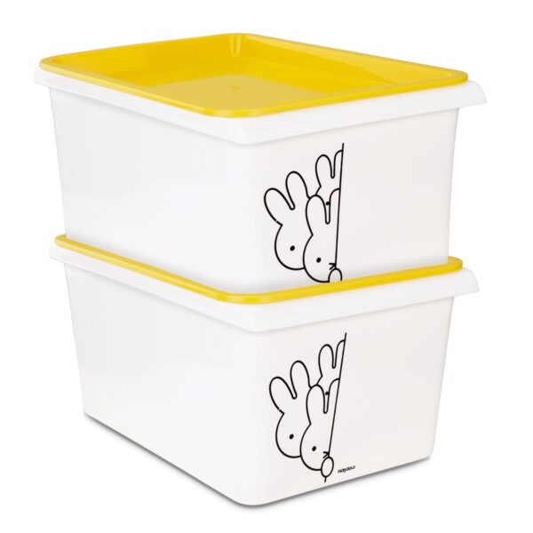 Nayasa Lego Print Stack N Store 5 Litres Multipurpose Storage Container with Lid - Set of 2 | Yellow Nayasa Lego Print Stack N Store 5 Litres Multipurpose Storage Container with Lid - Set of 2 | Yellow