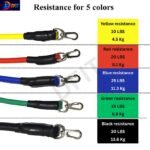 DFIT Resistance Band Set for Home Workout  11PCS ExerciseBest Amazon Deals