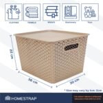 Homestrap Set Of 3 Plastic Storage Organizers/BasketsBest Amazon Deals
