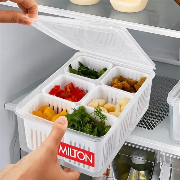 MILTON 6-in-1 Grid Fridge Storage Containers Fridge Organizer Container & Lid, Stackable Box, Space Saving Plastic Containers for Chopped Vegetables, Fruits MILTON 6-in-1 Grid Fridge Storage Containers Fridge Organizer Container & Lid, Stackable Box, Space Saving Plastic Containers for Chopped Vegetables, Fruits