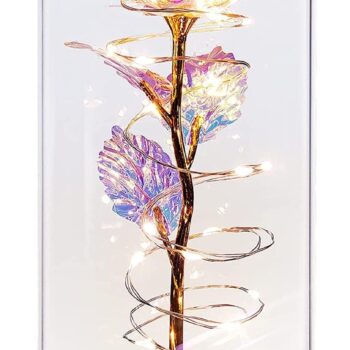 WEMOL Acrylic Artificial Rose Flower Dome with LED LightsBest Amazon Deals