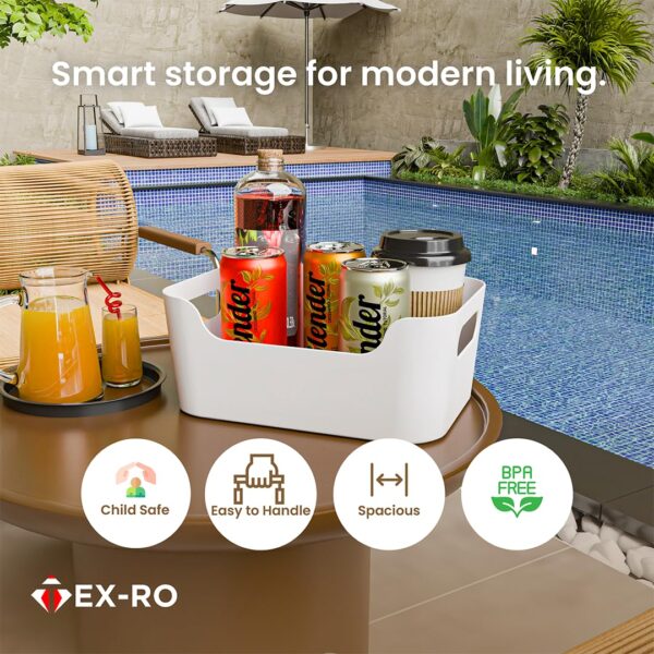 TEX-RO Storage Box and Organiser | Storage Organiser |Best Amazon Deals