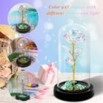 WEMOL Acrylic Artificial Rose Flower Dome with LED LightsBest Amazon Deals