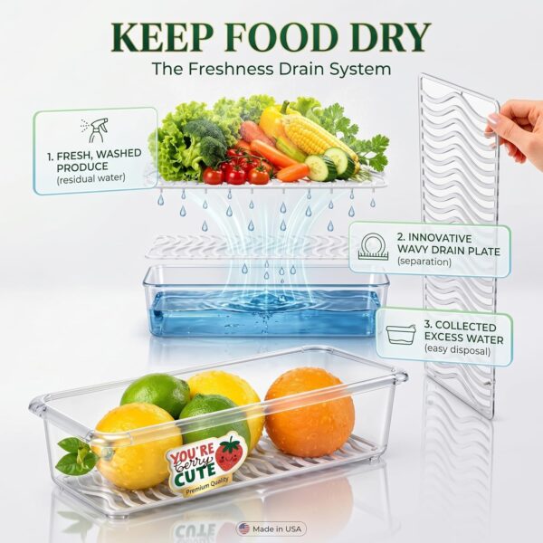 MILTON Cryo Fridge Storage Boxes Set of 6 FridgeBest Amazon Deals