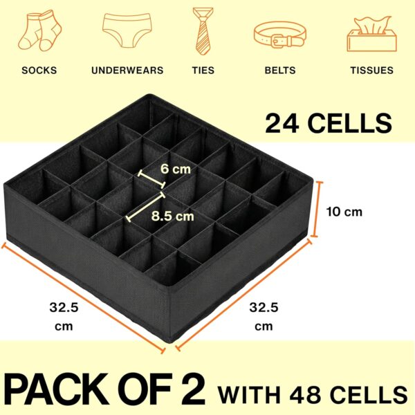 Skrill 24-Compartment – Set of 2 | Non-Woven FoldableBest Amazon Deals