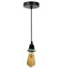 Ceiling Hanging Light Stainless Steel 304 & Black PendantBest Amazon Deals