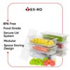 TEX-RO 6 Fridge Storage Containers | Fridge OrganiserBest Amazon Deals