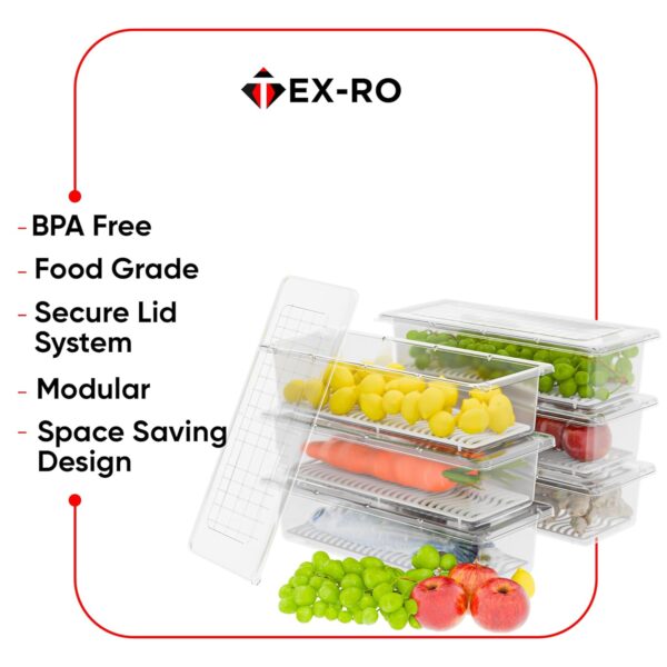 TEX-RO 6 Fridge Storage Containers | Fridge OrganiserBest Amazon Deals
