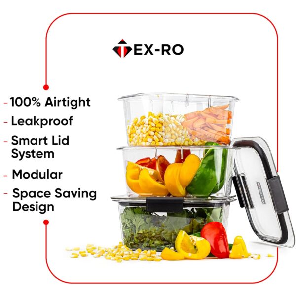 TEX-RO Air Tight Container For Fridge Organizer PlasticBest Amazon Deals