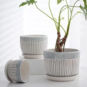 Fox & Fern Premium Ceramic Planter for Vibrant Garden |Best Amazon Deals Fox & Fern Premium Ceramic Planter for Vibrant Garden |Best Amazon Deals