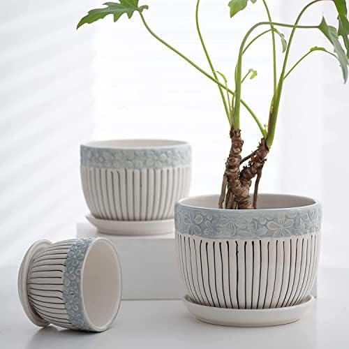 Fox & Fern Premium Ceramic Planter for Vibrant Garden |Best Amazon Deals