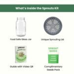 Gutbasket Sprouting Kit | Includes 2 Glass Sprout JarsBest Amazon Deals