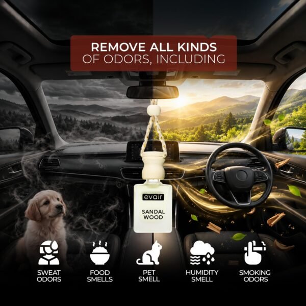 Evair SANDALWOOD Luxury Car Air Freshener | Essential OilBest Amazon Deals