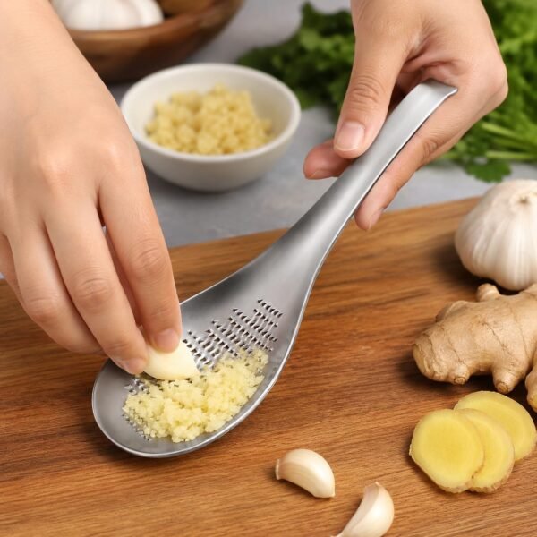 Stainless Steel Ginger Garlic Grater Spoon for Kitchen |Best Amazon Deals