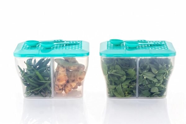 MAGIC SPOON Multipurpose 2 Section Storage Container withBest Amazon Deals