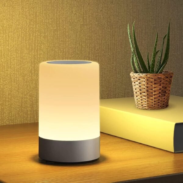 FLYNGO Touch Control LED Night Light Table Lamp forBest Amazon Deals